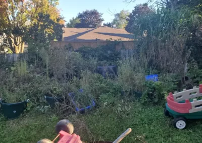 Effective Landscaping Company