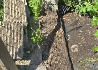 Expert Landscaping Company