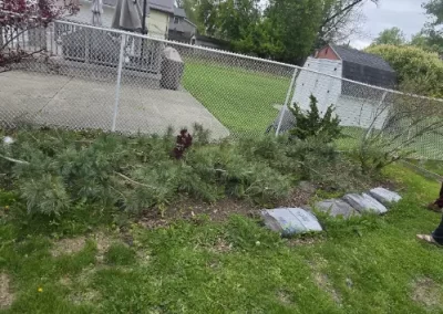 Preferred Landscaping Company
