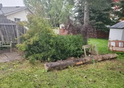 Superb Landscaping Company